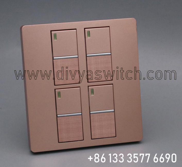 Nepal Bangladesh Pakistan 2 switch 2 socket.jpg